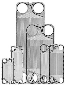 plates in plate and frame heat exchangers