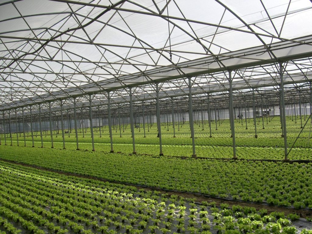greenhouse covers 
