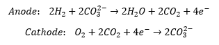 Molten carbonate fuel cell reaction equations