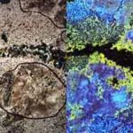 Spectrometers – Visual Encyclopedia of Chemical Engineering Equipment