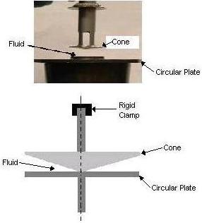 Diagram of cone circular plate and fluid
