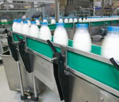 Milk conveyor belt