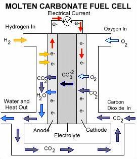 labeled Molten carbonate fuel cell