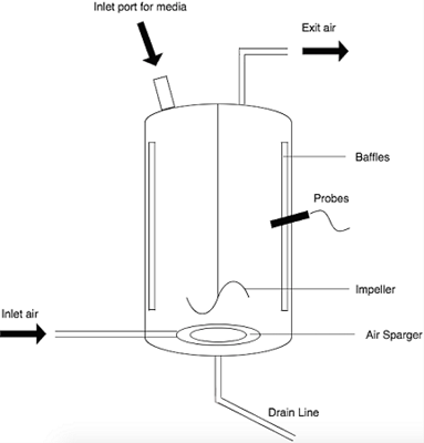 Diagram of a typical stirred tank fermenter