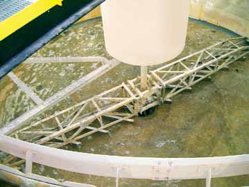 thickener with adjustable rake arms