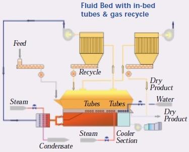 Fluid bed with in-bed tubes & gas recycle diagram