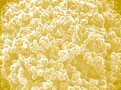 Synthetic polymeric adsorbents