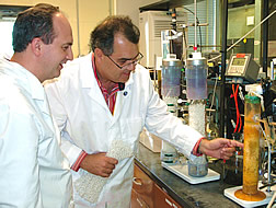 soil scientists using a small scale packed-bed reactor to test cost-effective methods of removing ammonia from livestock wastewater.